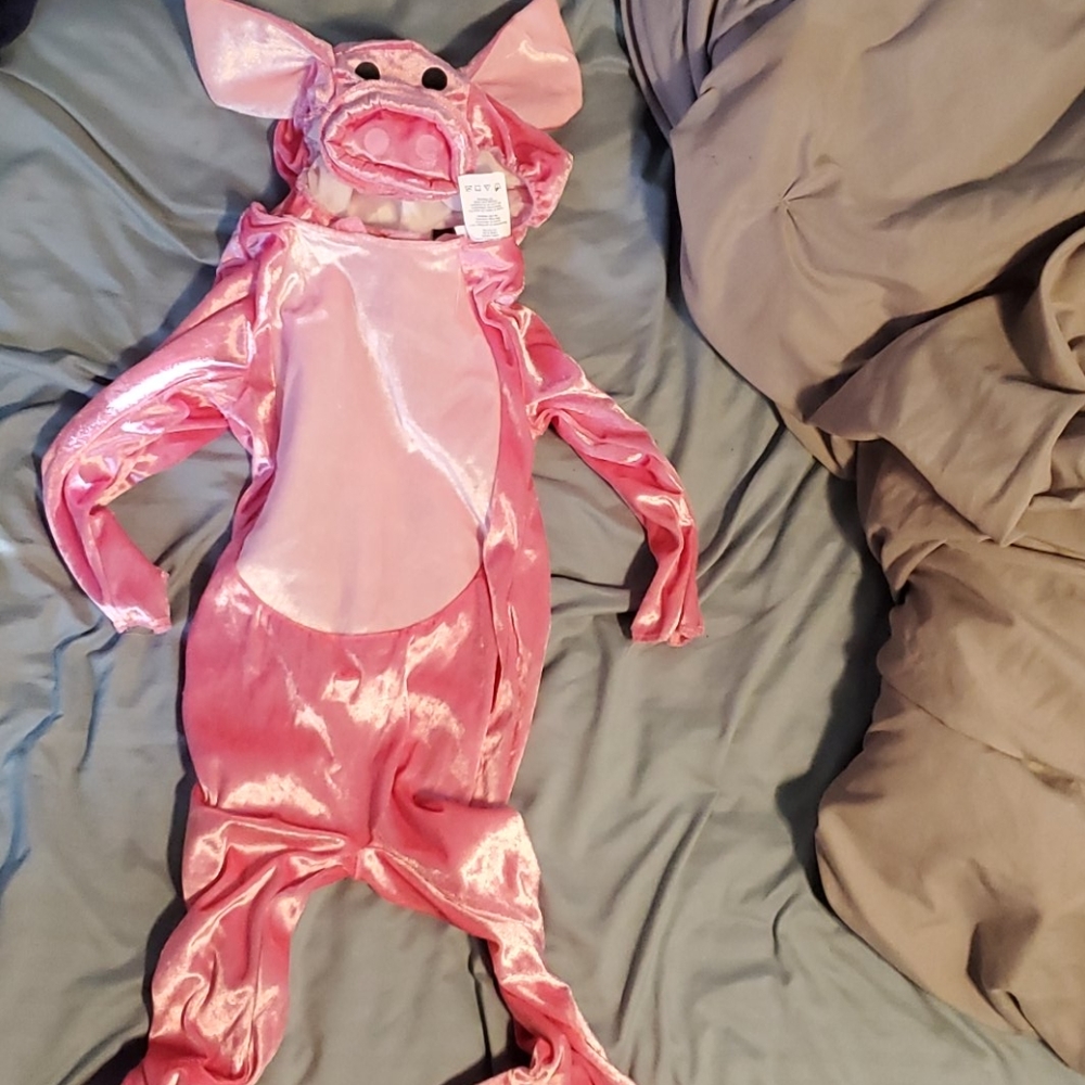 Kids pig costume